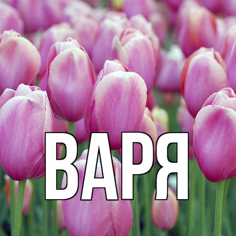 Картинка  с именем , варя