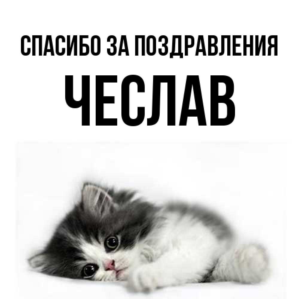 Открытка  с именем. Чеслав, Спасибо за поздравления  