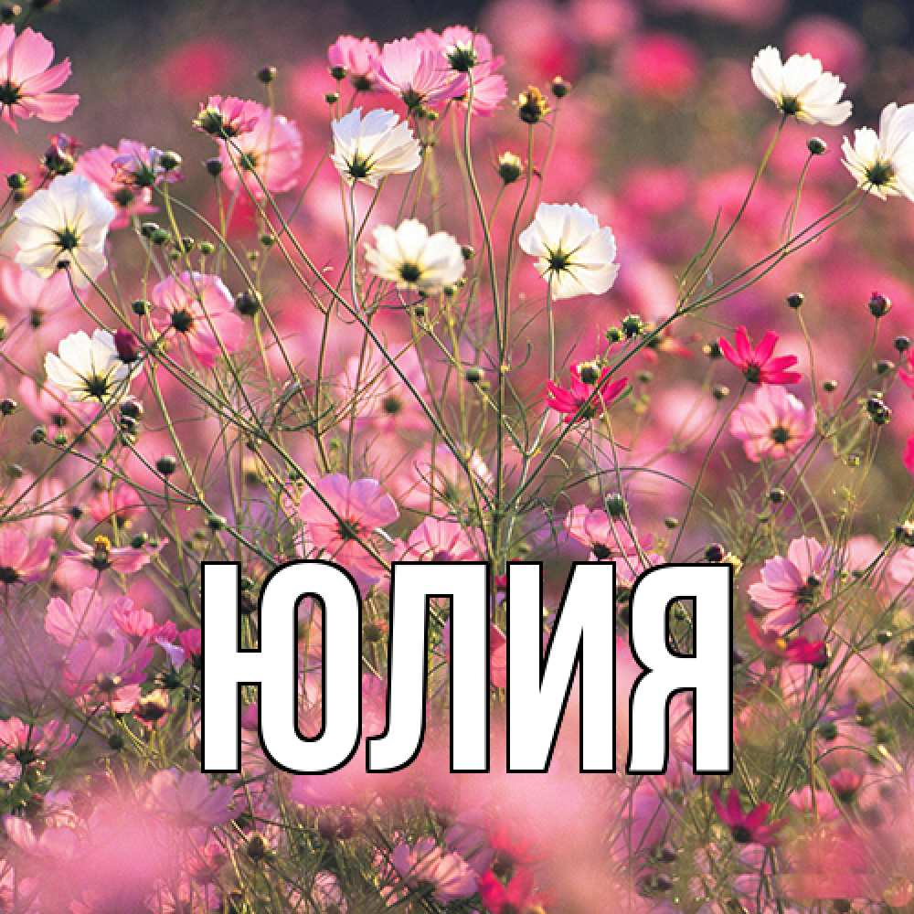 Открытка  с именем. Юлия, Главная  
