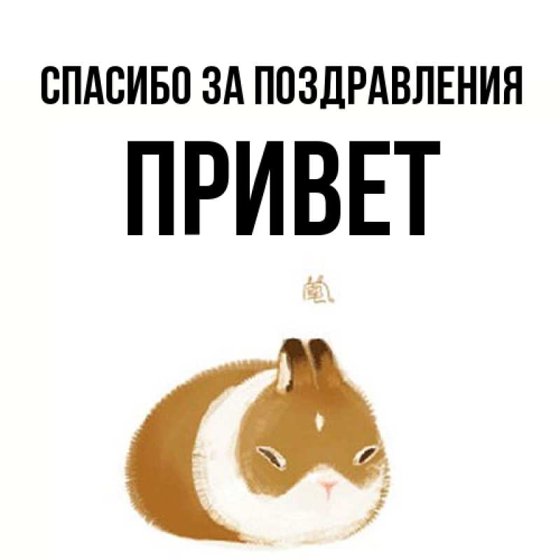 Картинка Спасибо за поздравления, Привет