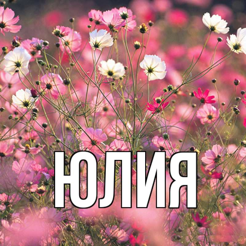 Картинка  с именем , Юлия