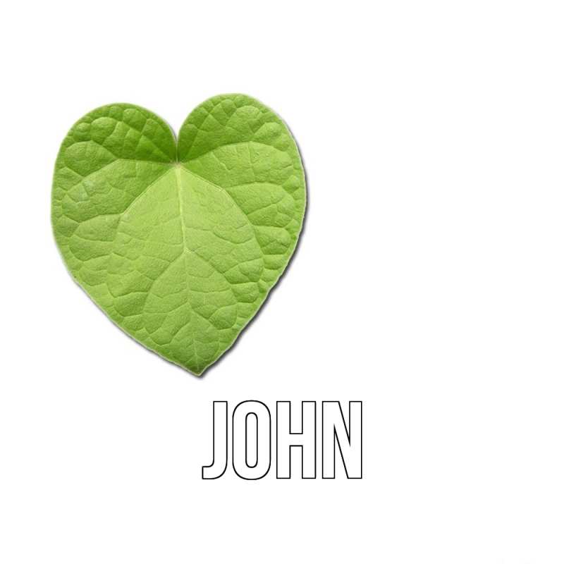 Картинка  с именем , John