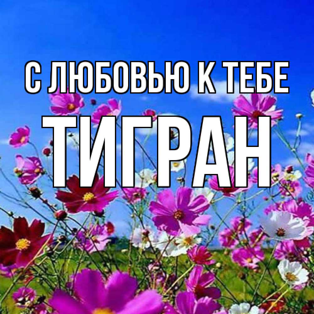 Открытка  с именем. Тигран, С любовью к тебе  