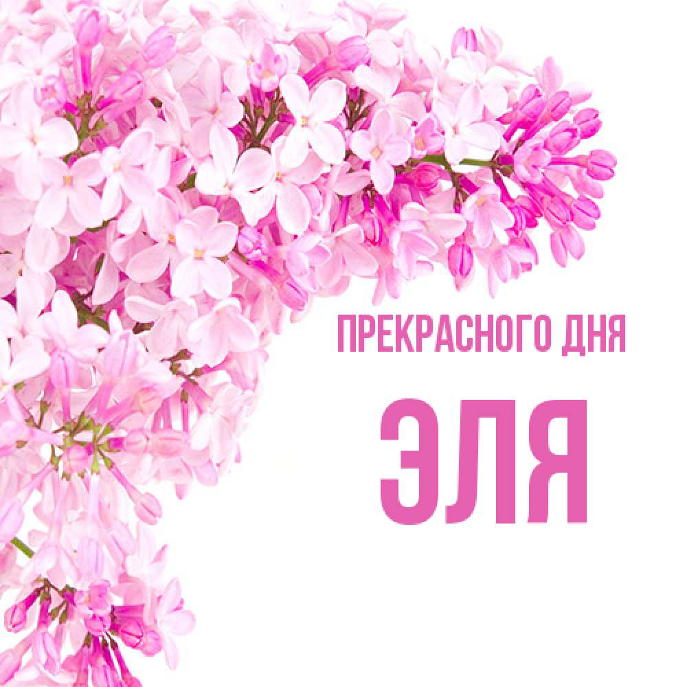 Открытка  с именем. Эля, Прекрасного дня  