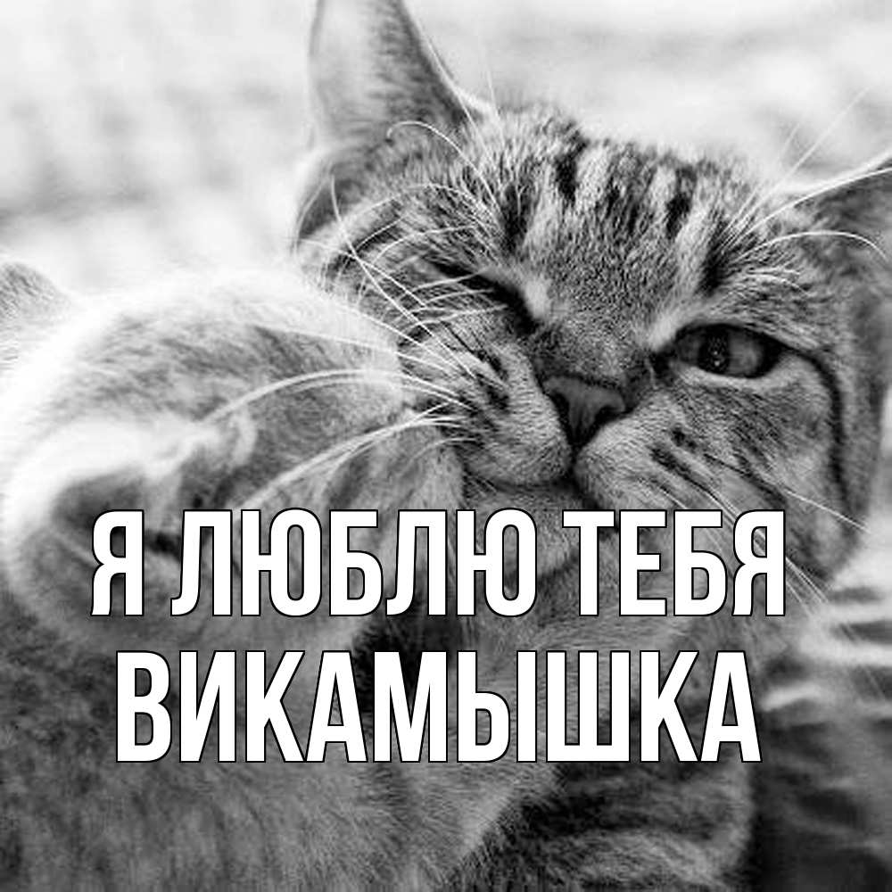 Открытка  с именем. викамышка, Я люблю тебя  
