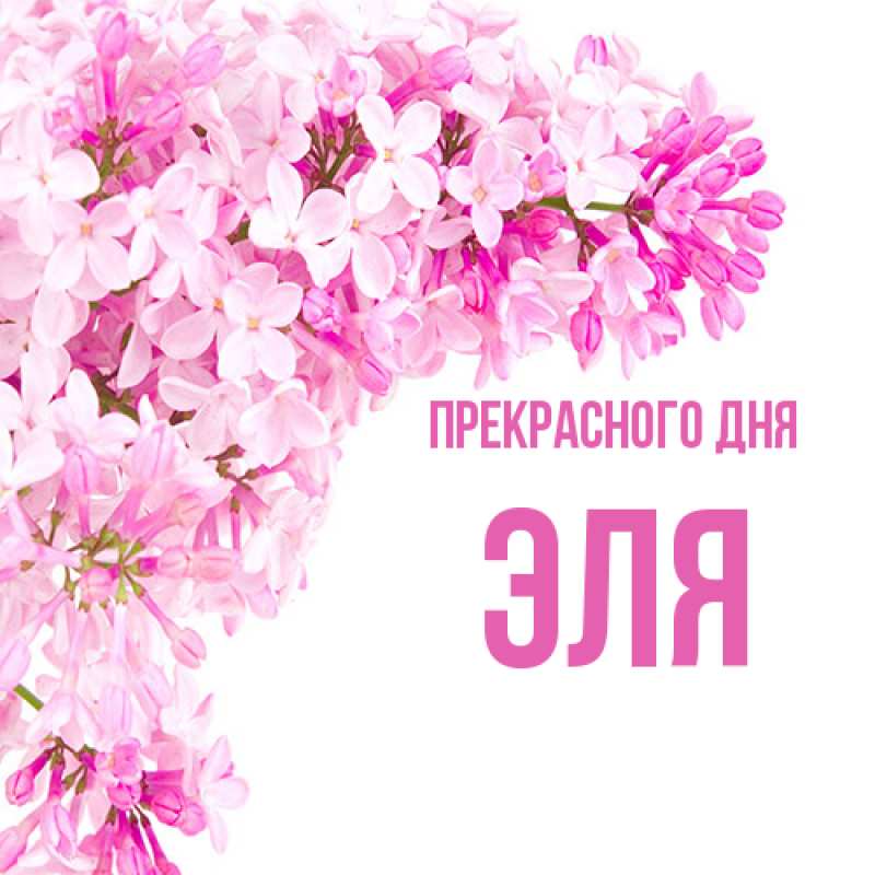 Картинка Прекрасного дня, Эля