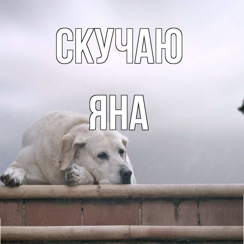 Картинка Скучаю, Яна