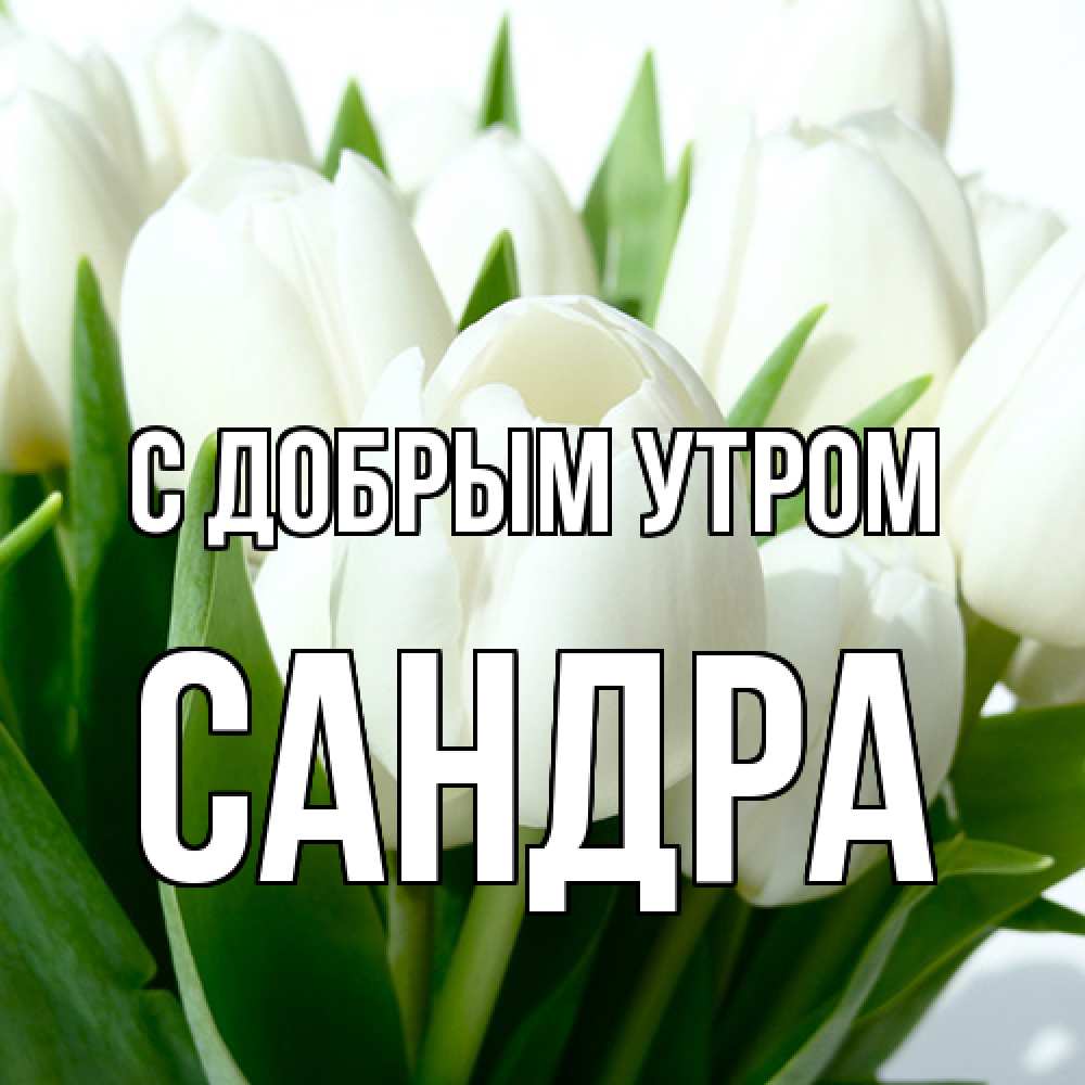 Открытка  с именем. Сандра, С добрым утром  