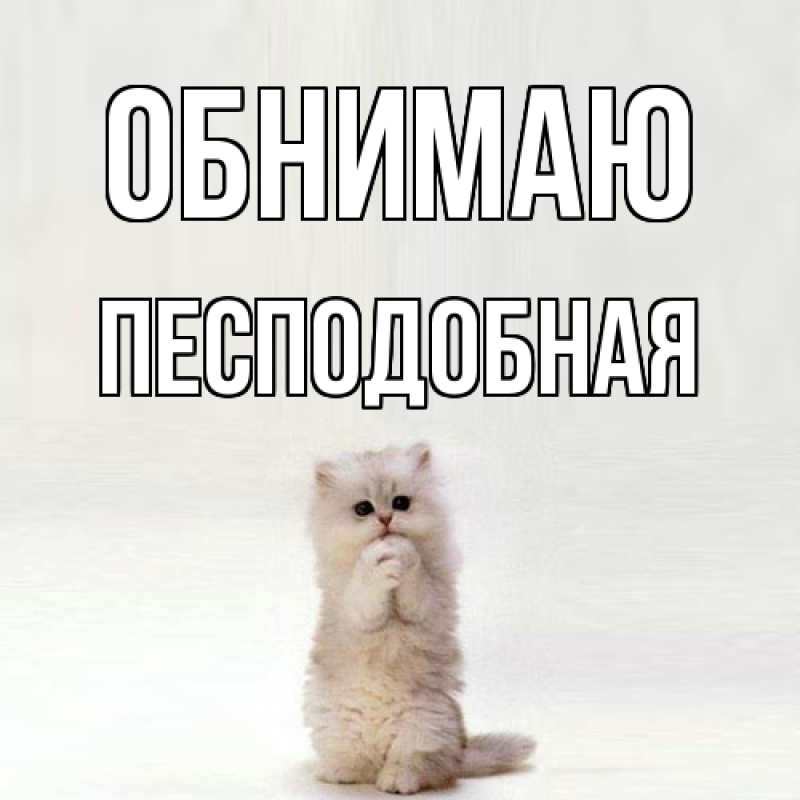 Картинка Обнимаю, Песподобная