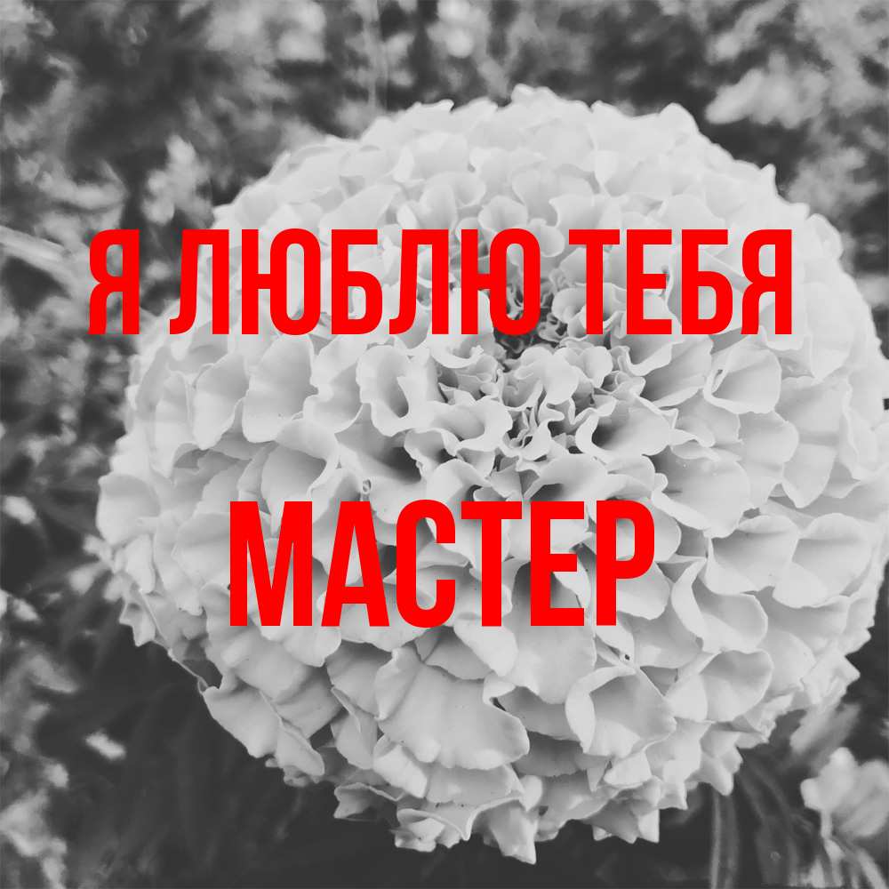 Открытка  с именем. Мастер, Я люблю тебя  