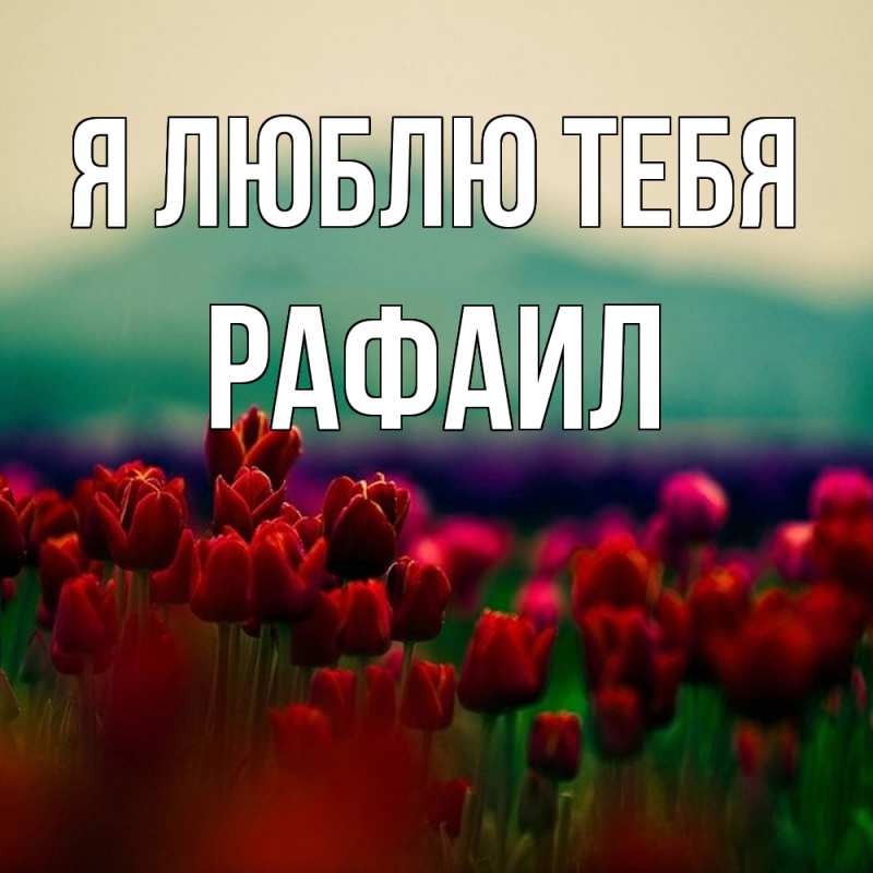 Картинка Я люблю тебя, Рафаил