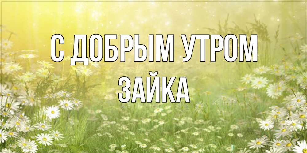 Открытка  с именем. Зайка, С добрым утром  