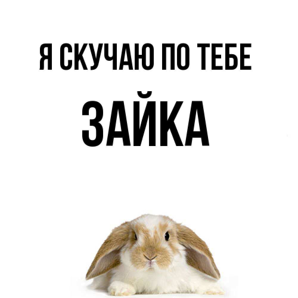 Открытка  с именем. Зайка, Я скучаю по тебе  