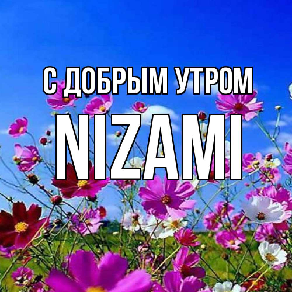 Открытка  с именем. Nizami, С добрым утром  