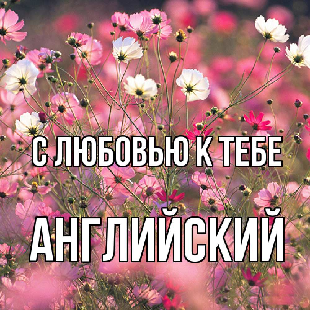 Открытка  с именем. Английский, С любовью к тебе  