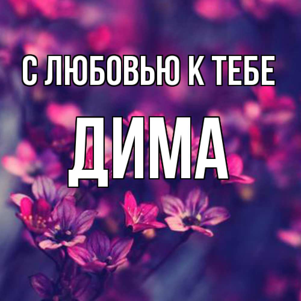 Открытка  с именем. Дима, С любовью к тебе  