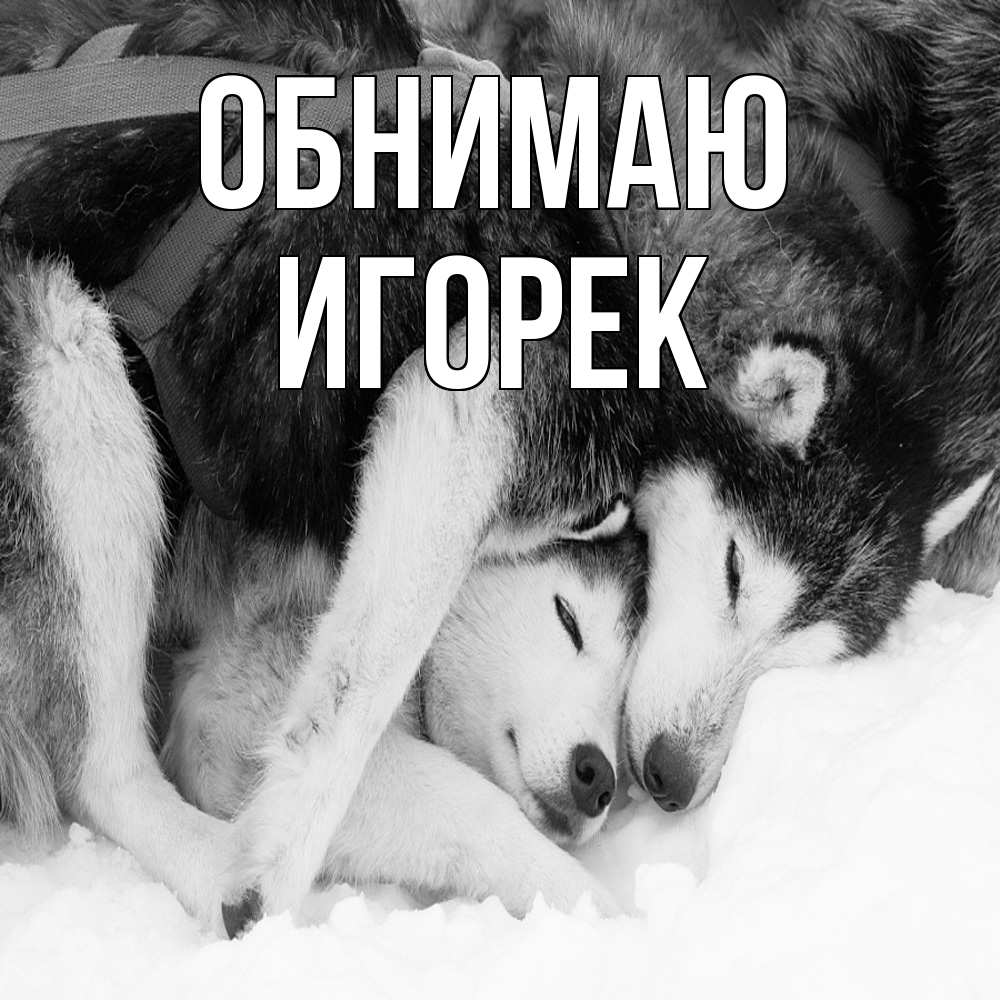 Открытка  с именем. Игорек, Обнимаю  