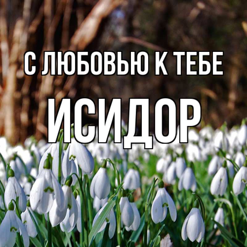 Картинка С любовью к тебе, Исидор