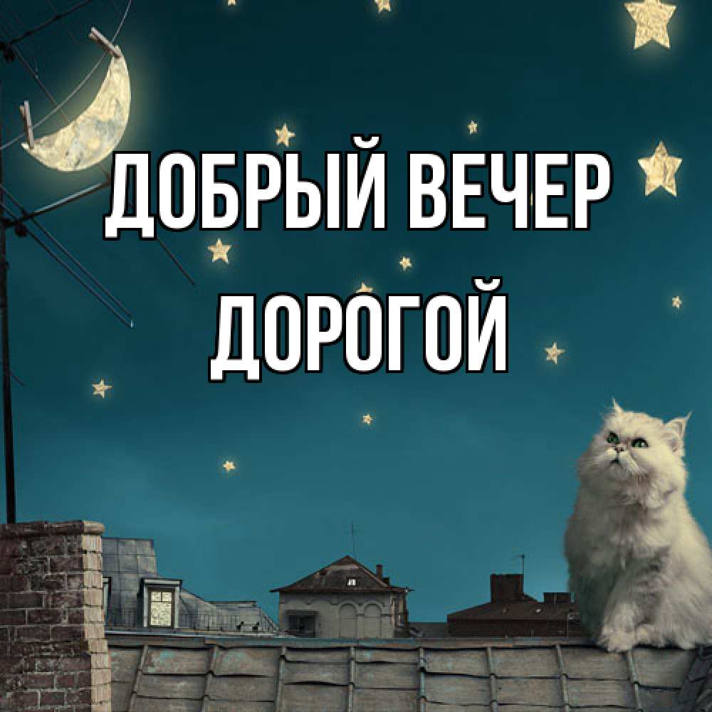 Открытка  с именем. Дорогой, Добрый вечер  