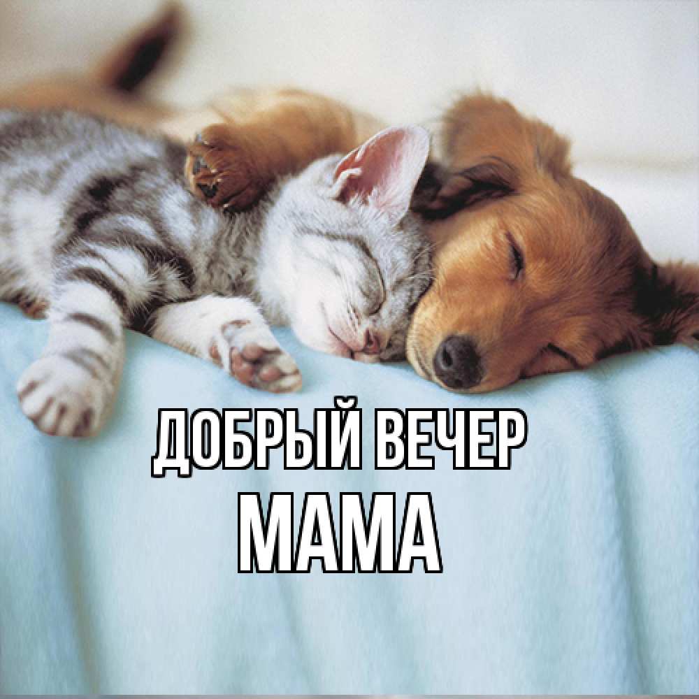Открытка  с именем. Мама, Добрый вечер  