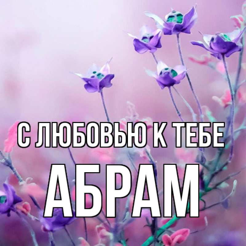 Картинка С любовью к тебе, Абрам