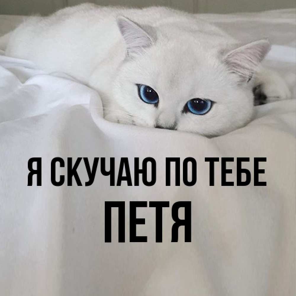 Открытка  с именем. Петя, Я скучаю по тебе  