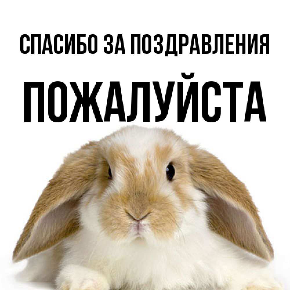 Открытка  с именем. Пожалуйста, Спасибо за поздравления  