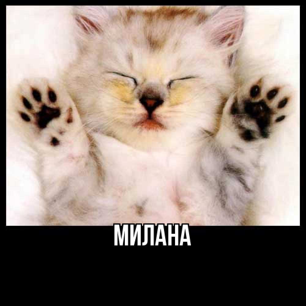 Открытка  с именем. Милана, Главная  