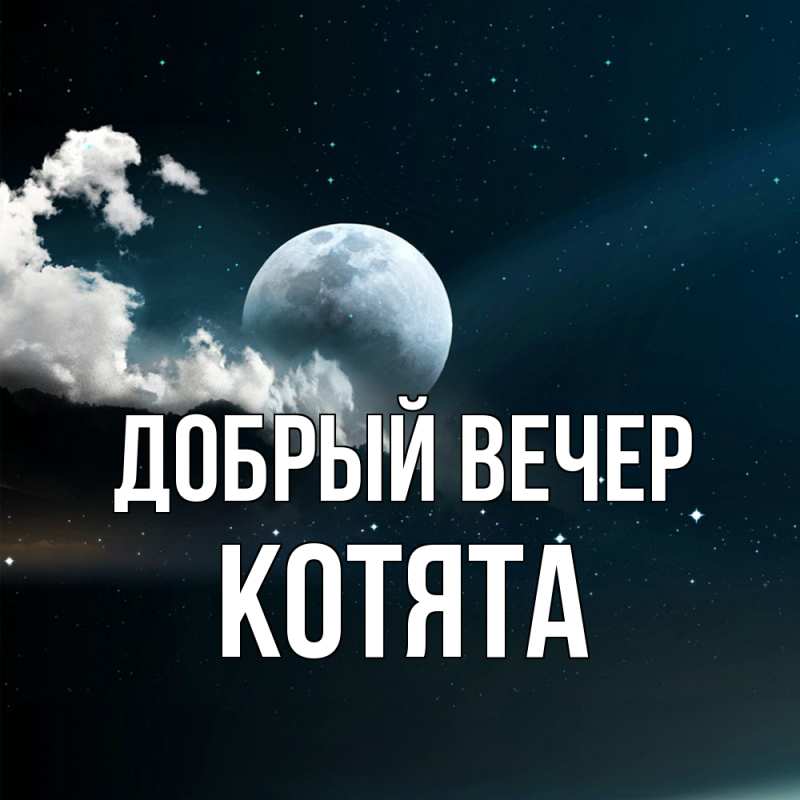 Картинка Добрый вечер, Котята