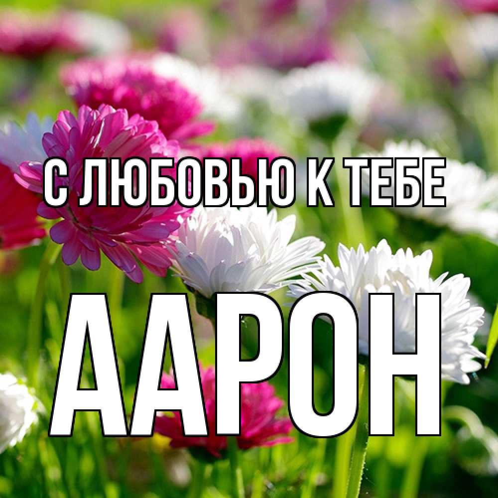 Открытка  с именем. Аарон, С любовью к тебе  