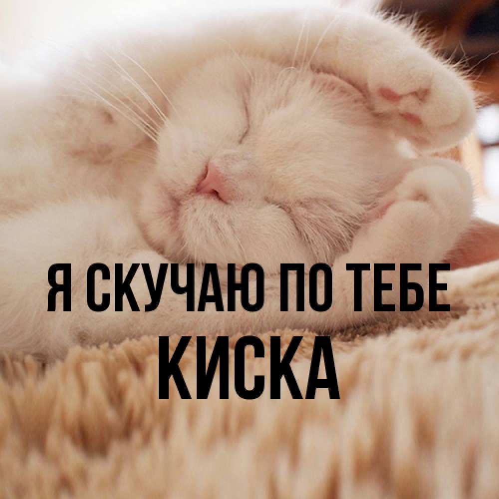 Открытка  с именем. Киска, Я скучаю по тебе  