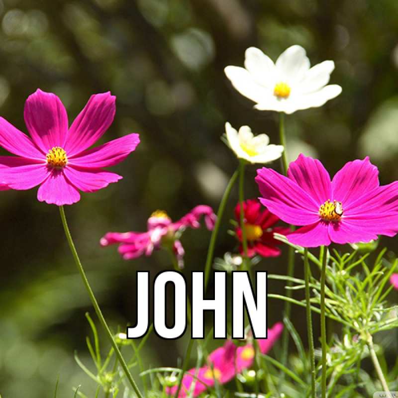 Картинка  с именем , John