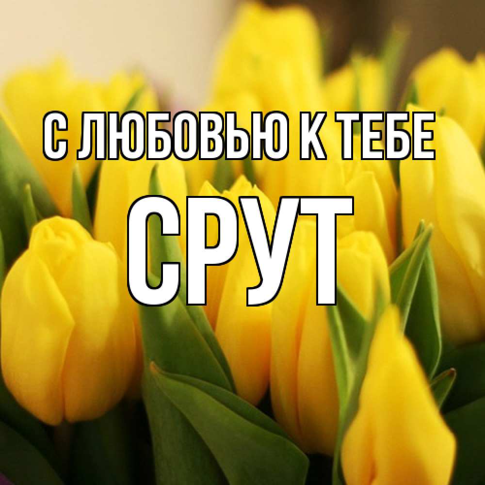 Открытка  с именем. срут, С любовью к тебе  