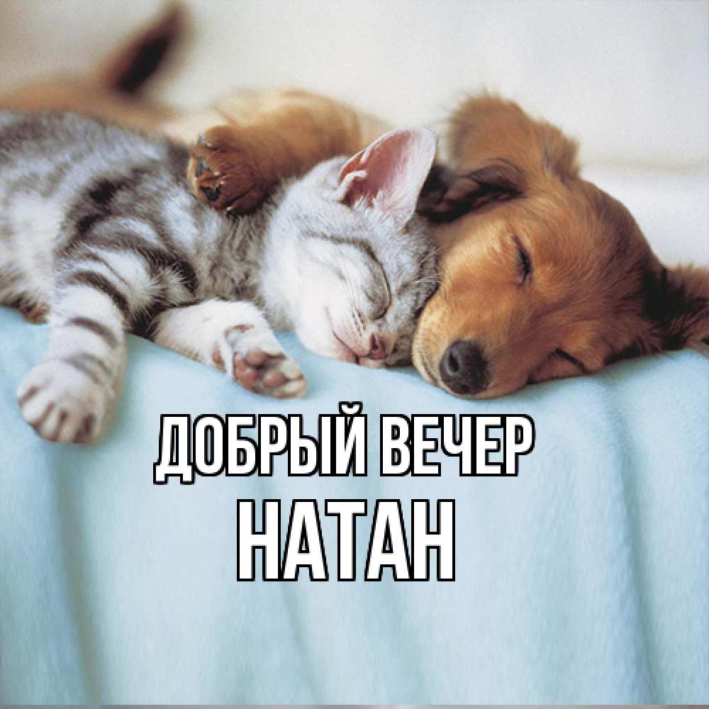 Открытка  с именем. Натан, Добрый вечер  