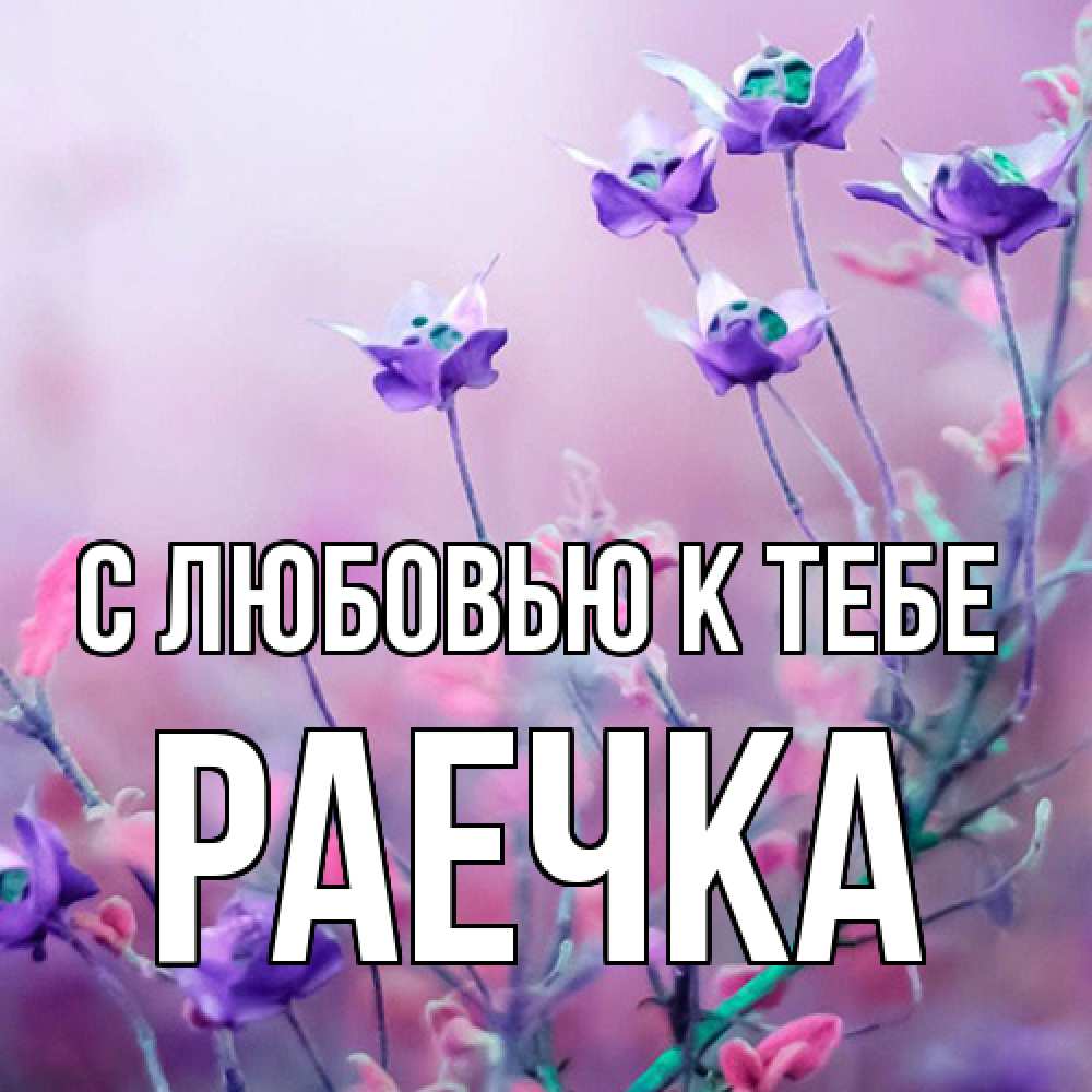 Открытка  с именем. Раечка, С любовью к тебе  