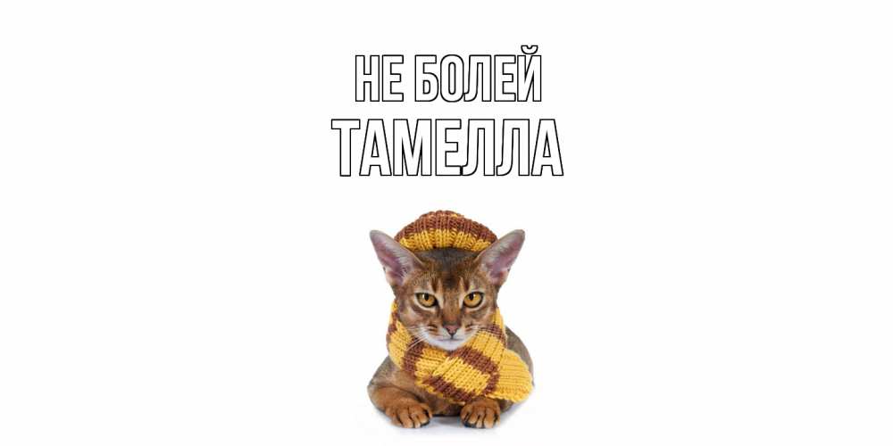 Открытка  с именем. Тамелла, Не болей  