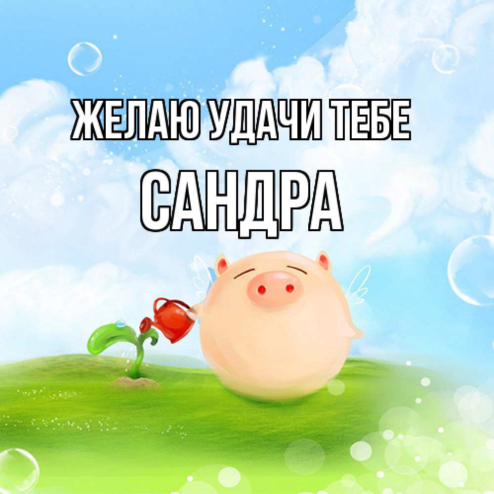 Открытка  с именем. Сандра, Желаю удачи тебе  