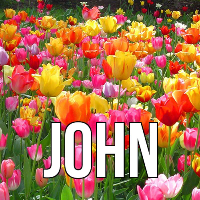 Картинка  с именем , John