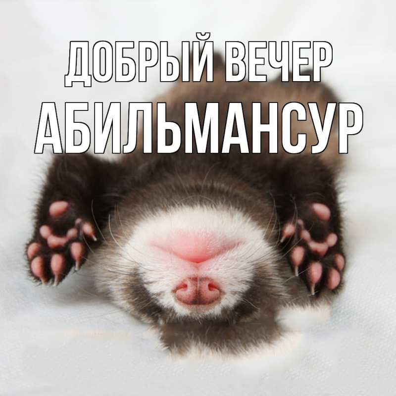 Картинка Добрый вечер, Абильмансур