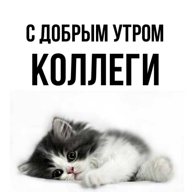 Картинка С добрым утром, коллеги