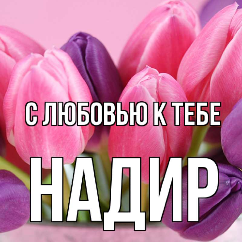 Картинка С любовью к тебе, Надир