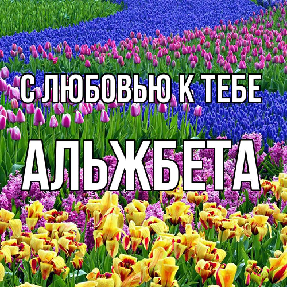 Открытка  с именем. Альжбета, С любовью к тебе  