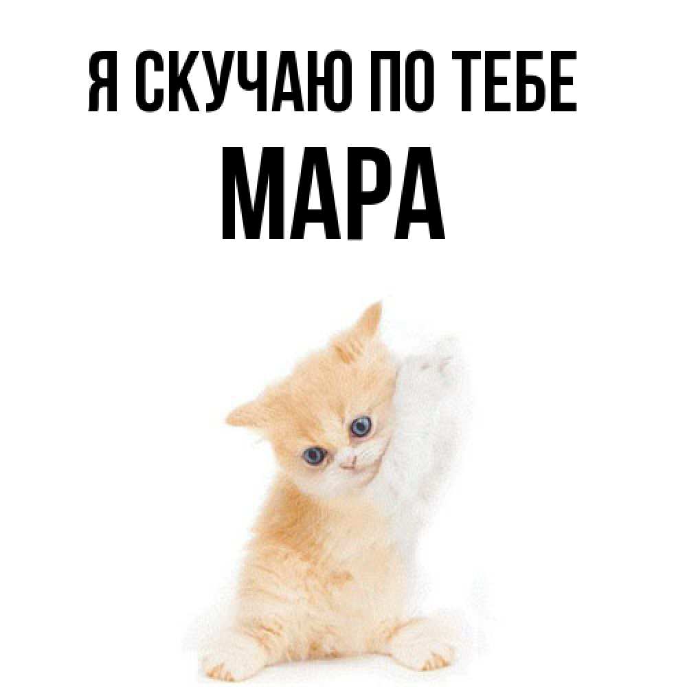 Открытка  с именем. Мара, Я скучаю по тебе  