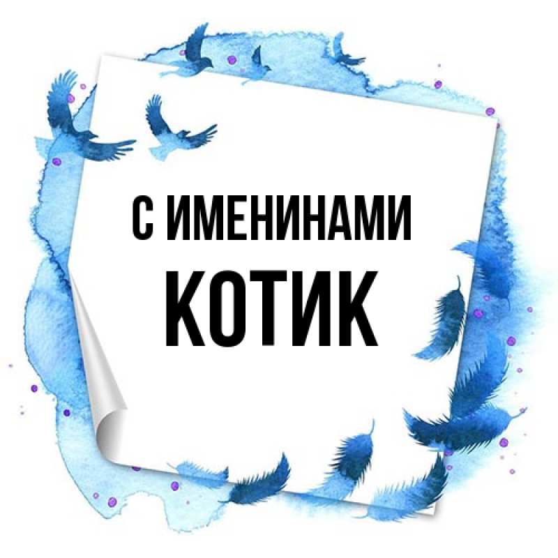 Открытка с именем, котик, С именинами