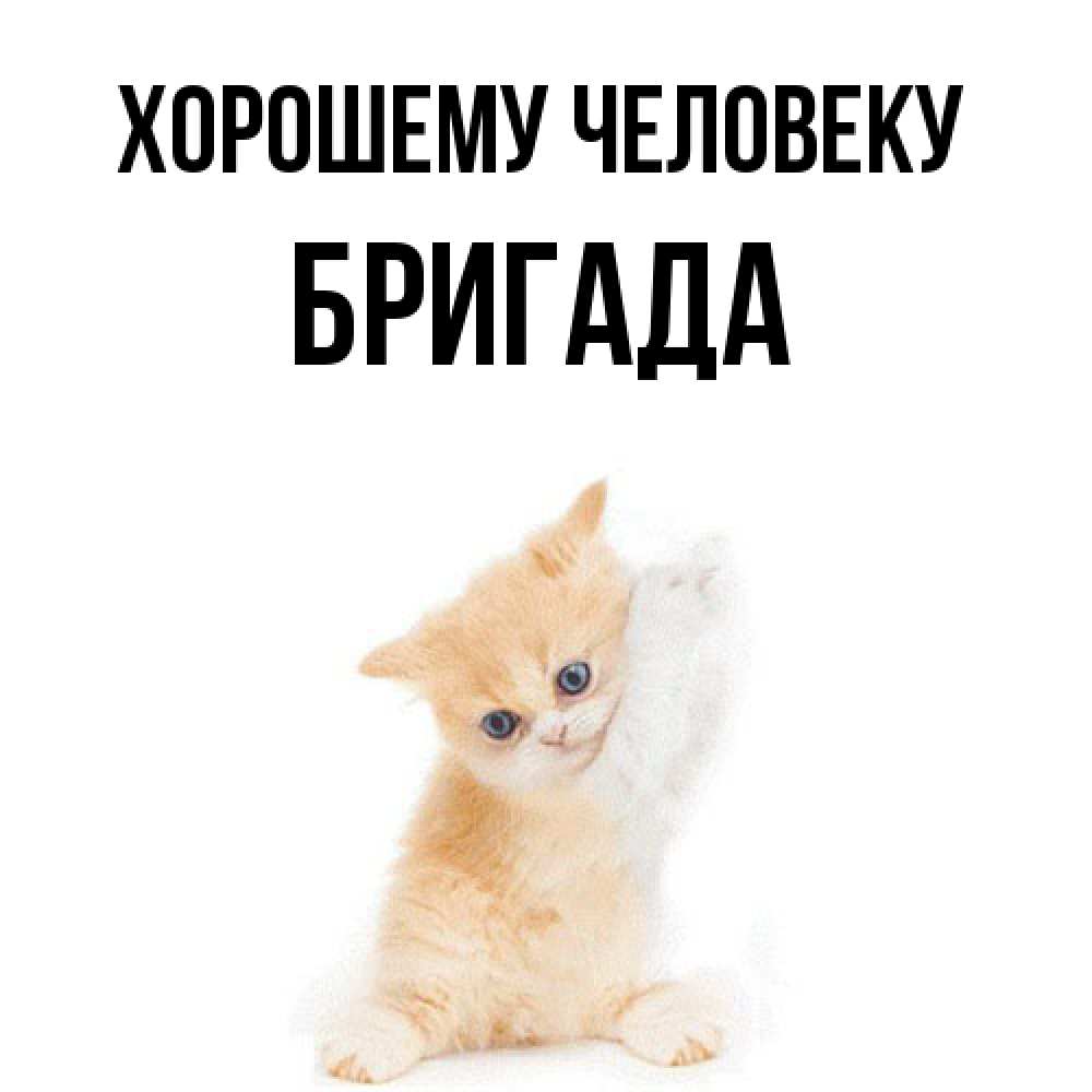 Открытка  с именем. Бригада, Хорошему человеку  