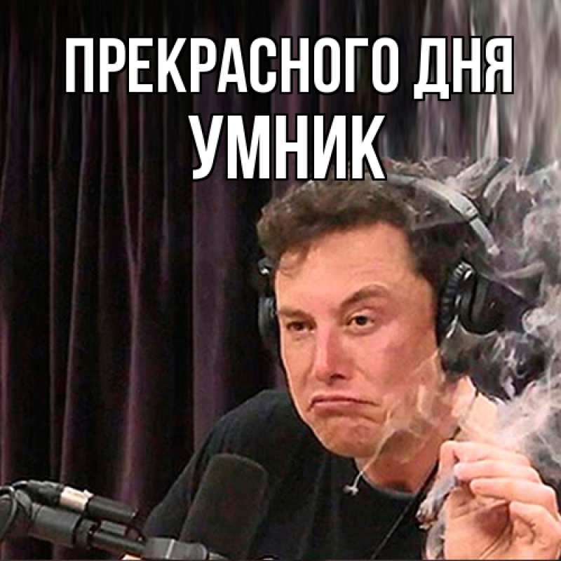 Картинка Прекрасного дня, Умник