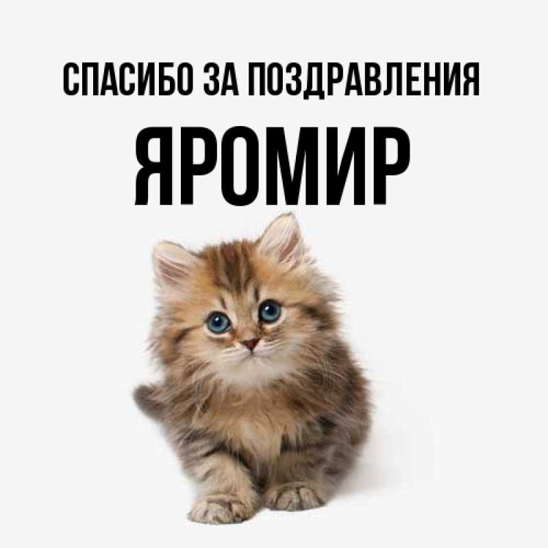 Картинка Спасибо за поздравления, Яромир