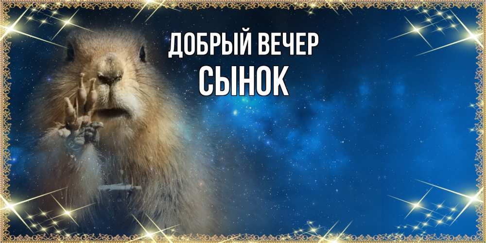 Открытка  с именем. Сынок, Добрый вечер  