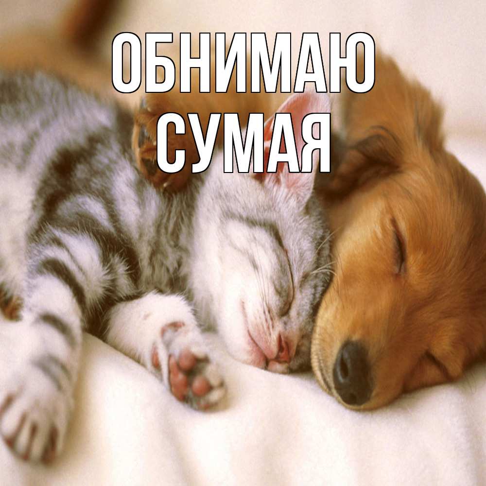 Открытка  с именем. Сумая, Обнимаю  