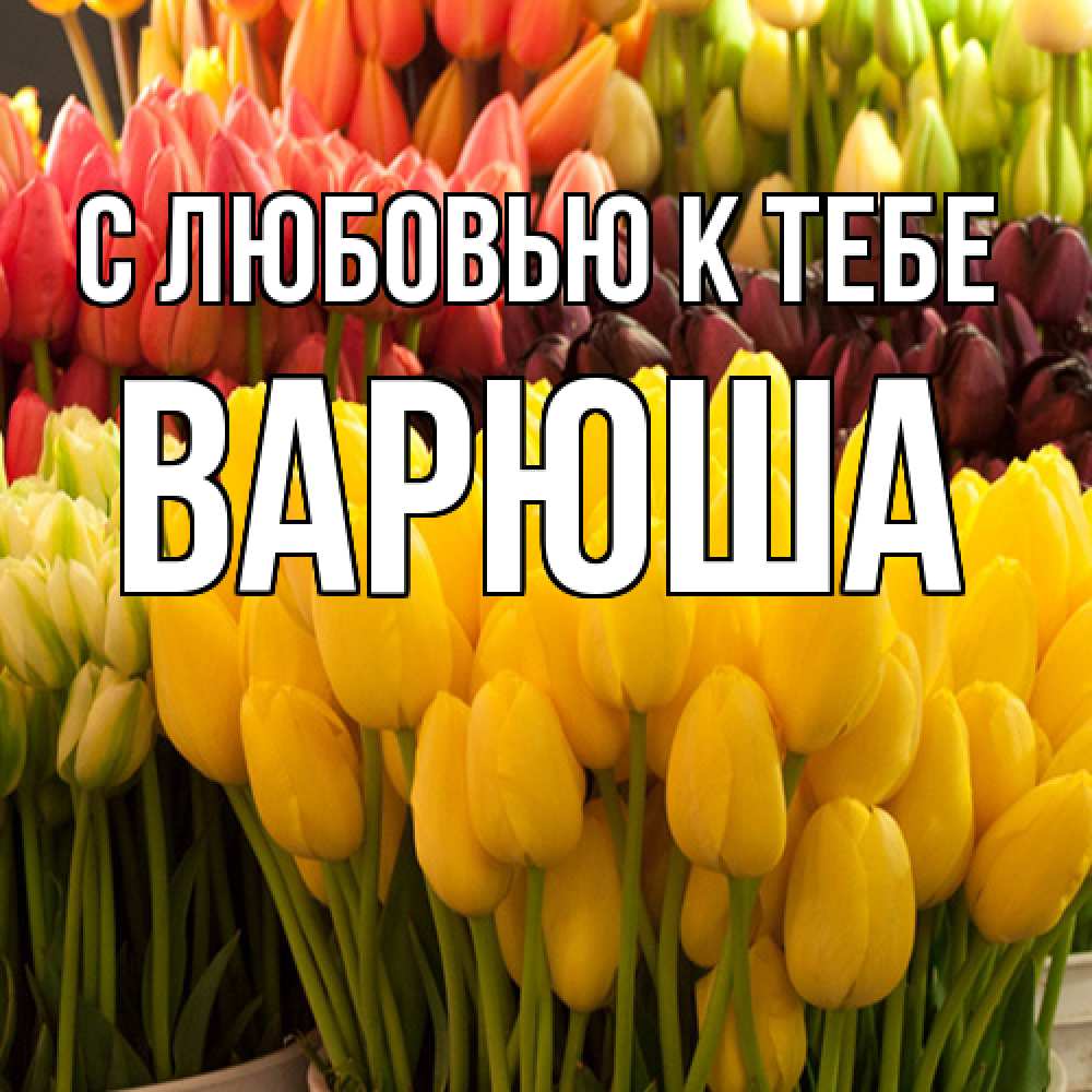Открытка  с именем. Варюша, С любовью к тебе  